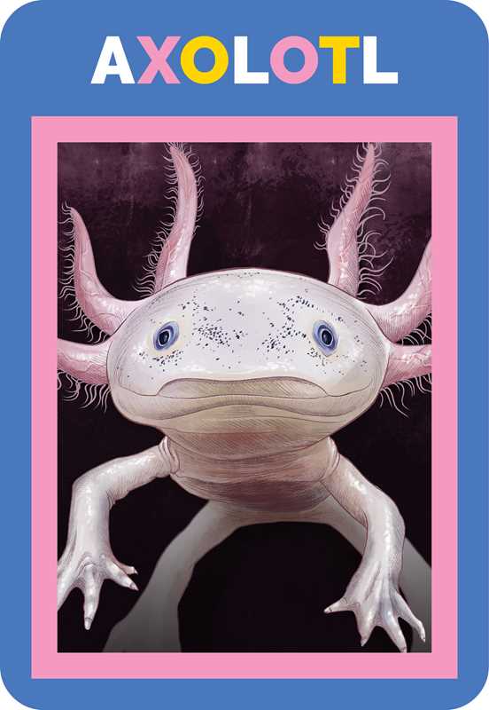 Axolotl illustration on a blue background with 'AXOLOTL' text.