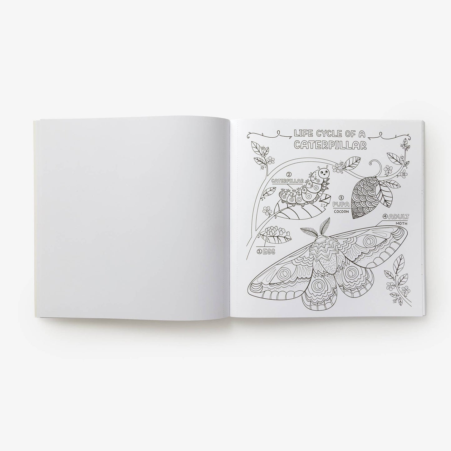 What's Inside Garden Coloring