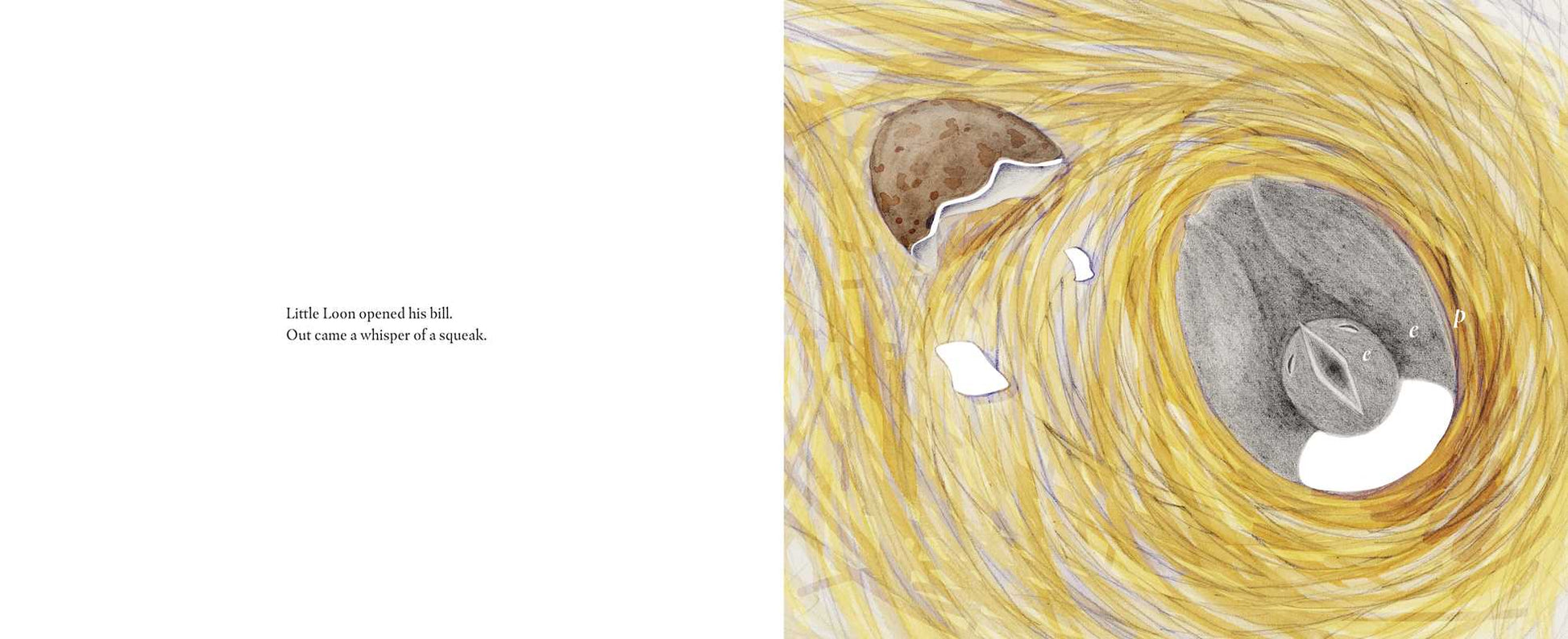 Illustration of a spiral with textured elements on a white background