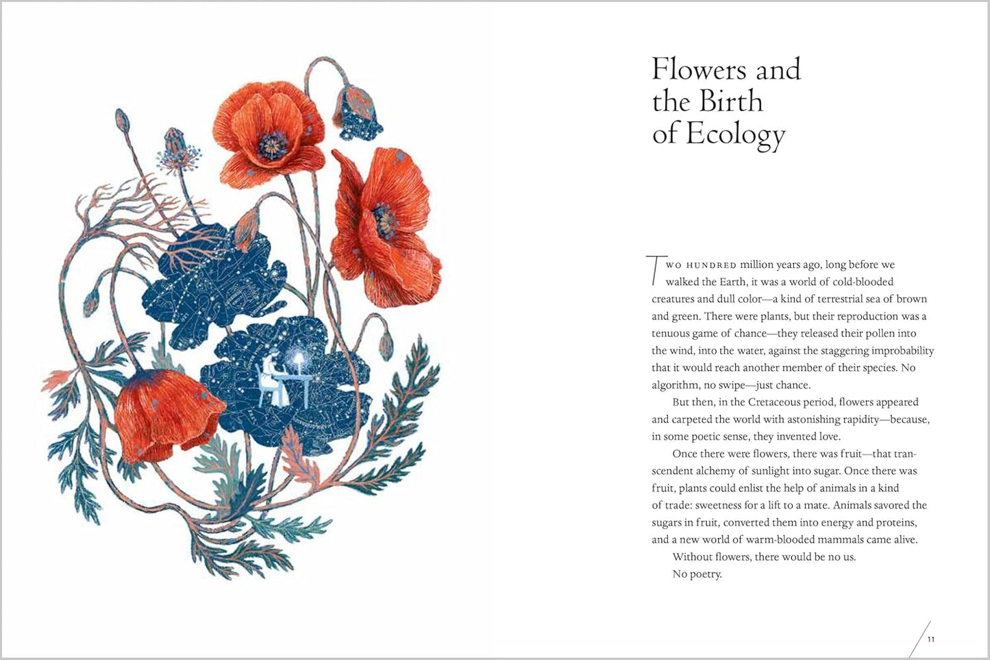 Illustration of flowers with text on a white background