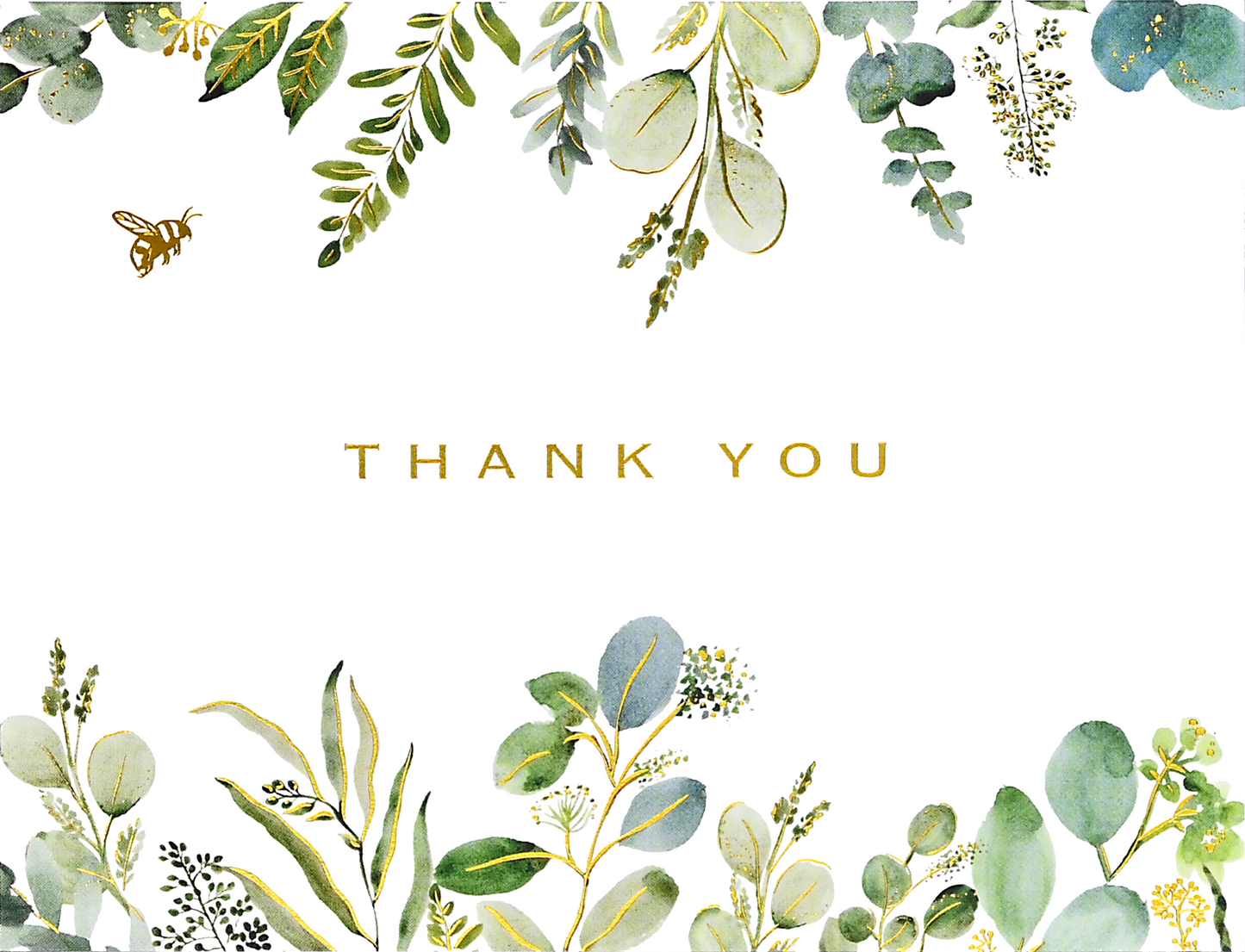 Eucalyptus Premium Thank You Note Cards