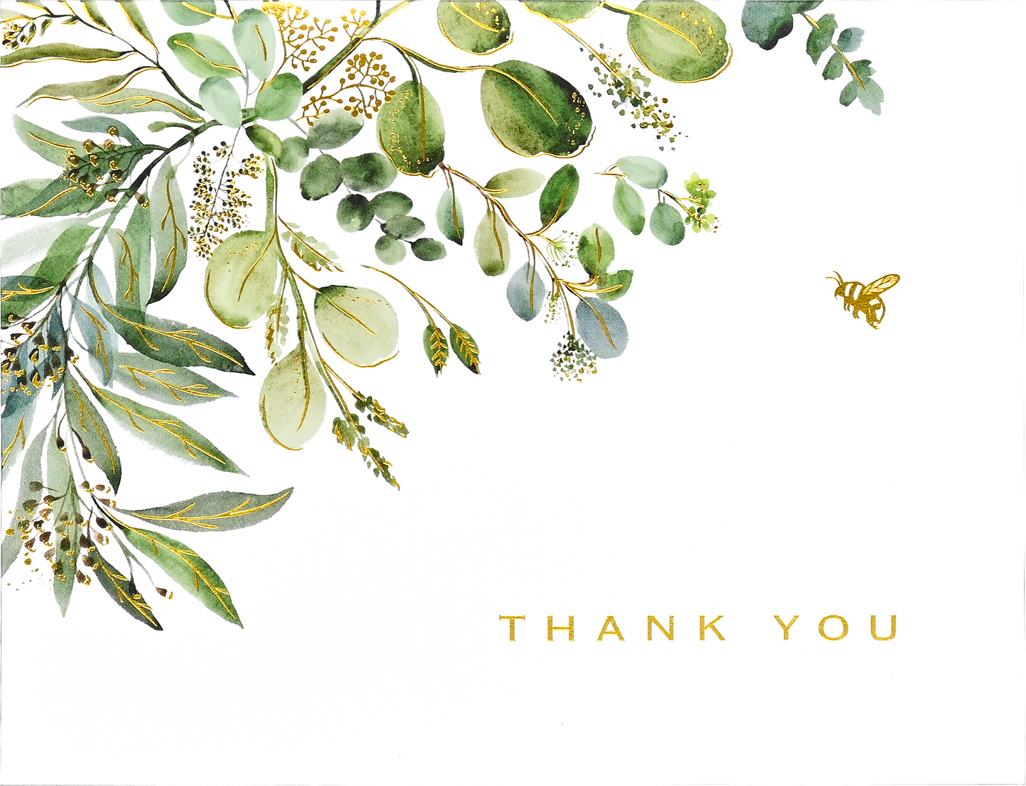 Eucalyptus Premium Thank You Note Cards