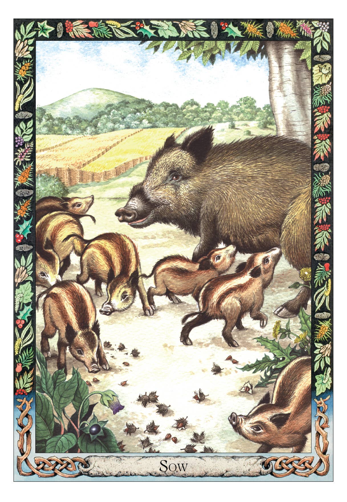 Illustration of a sow and her piglets in a natural setting with decorative border.