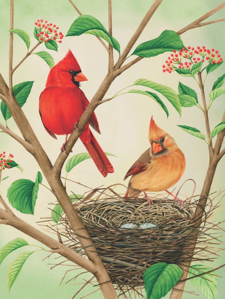 Northern Cardinals - 500 Piece Jigsaw Puzzle