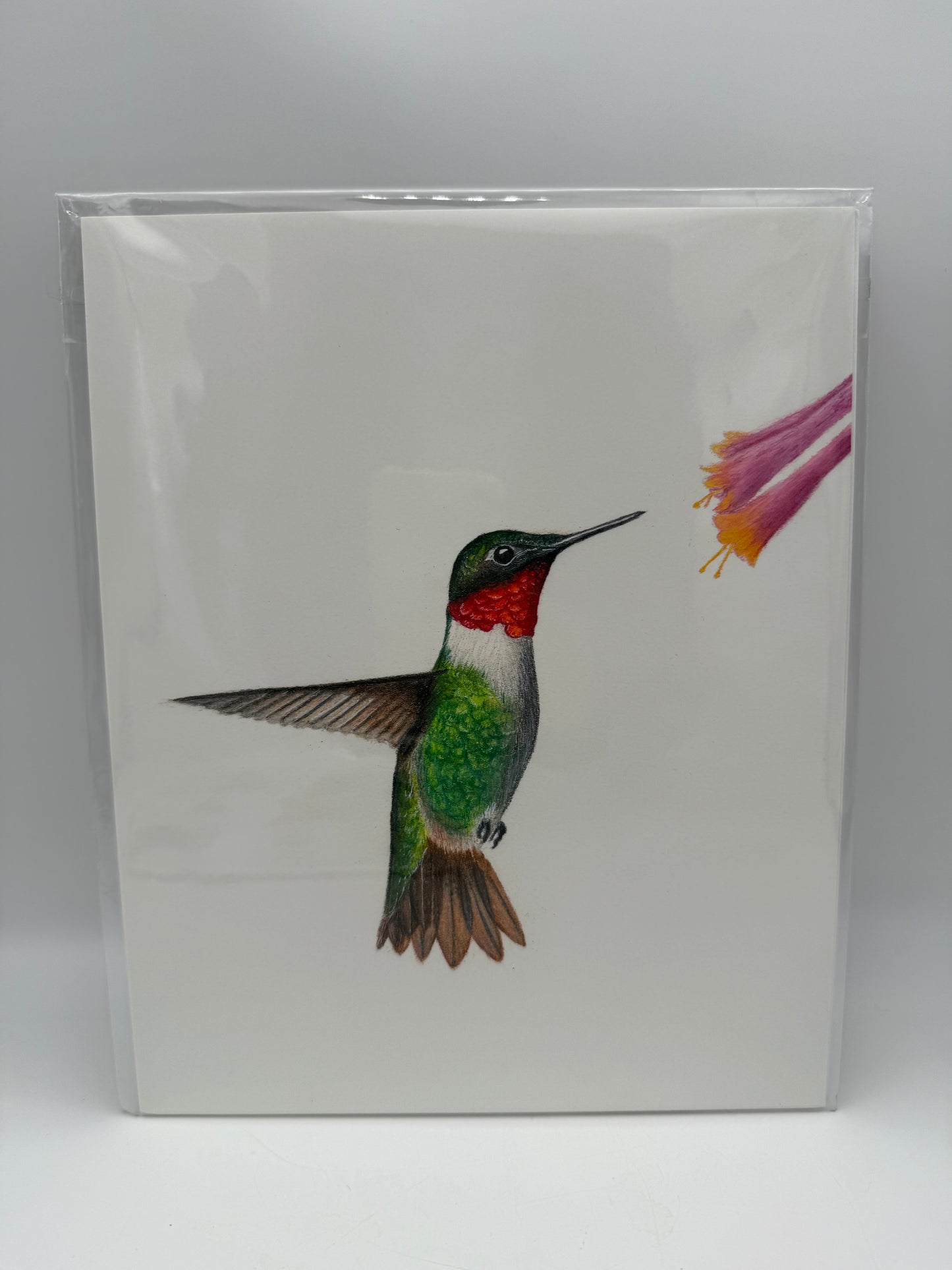 Hummingbird 8x10 Print