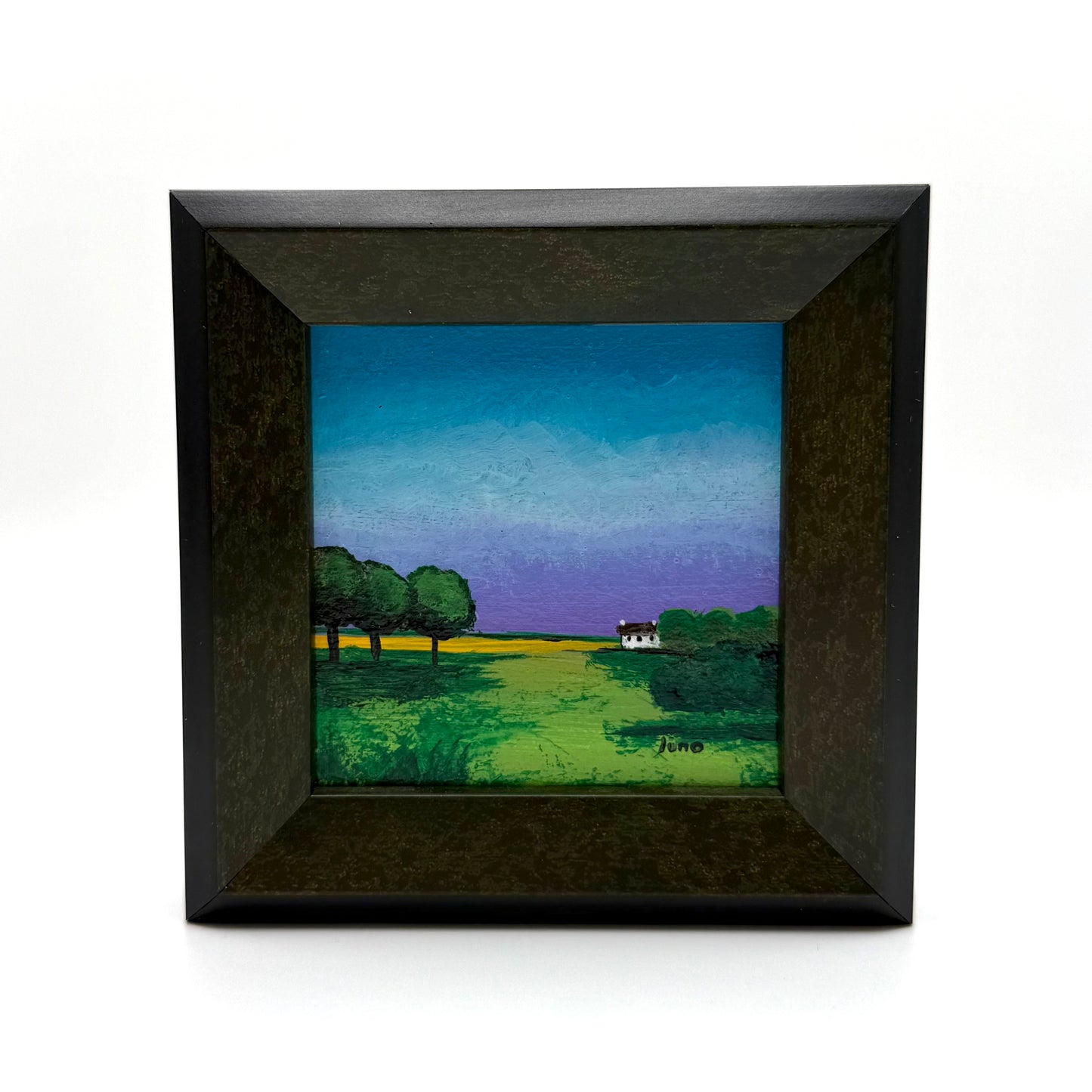 Framed Original Acrylic on Canvas by Karen Juno