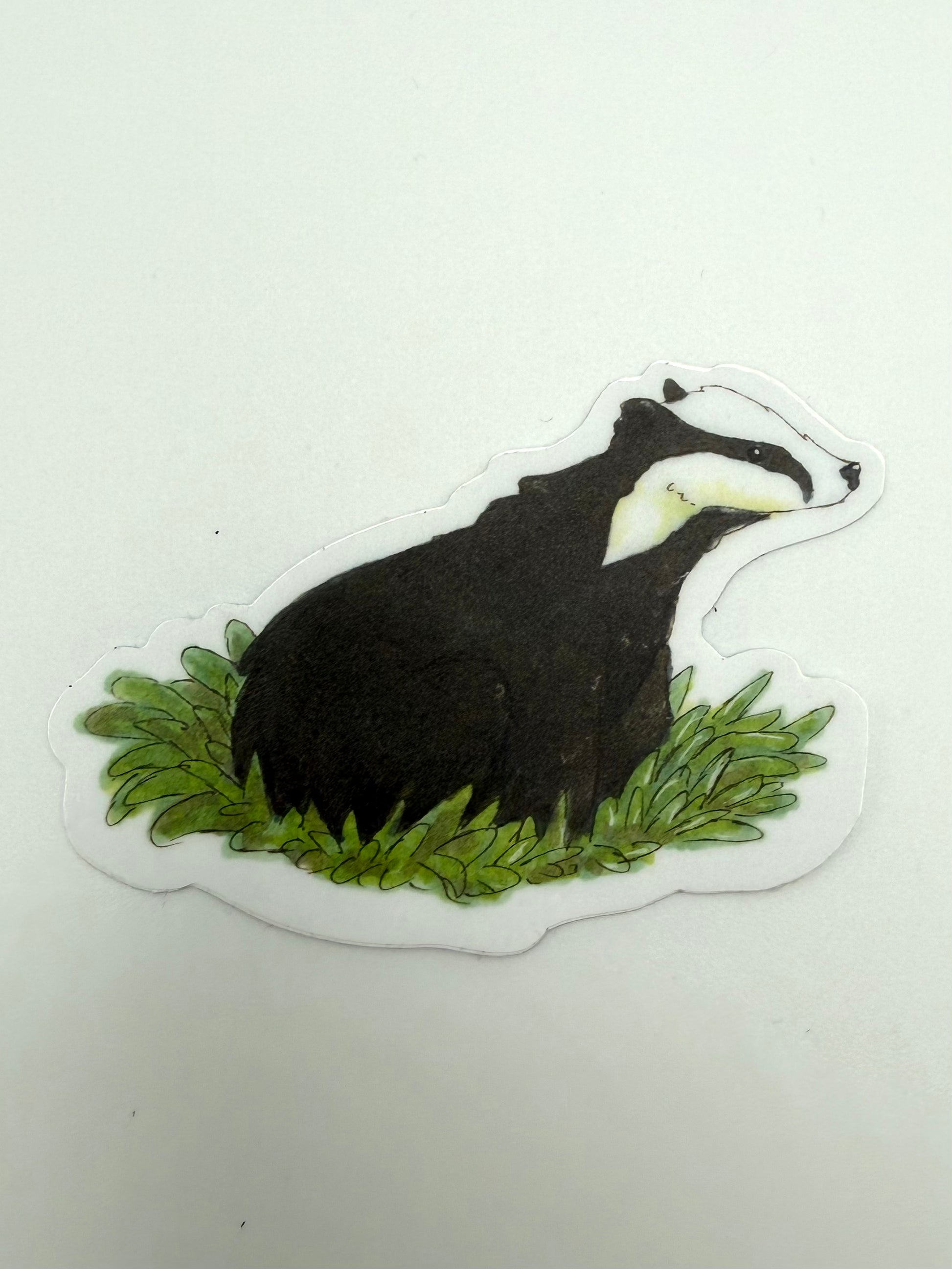 Sticker of a badger in grass on a white background