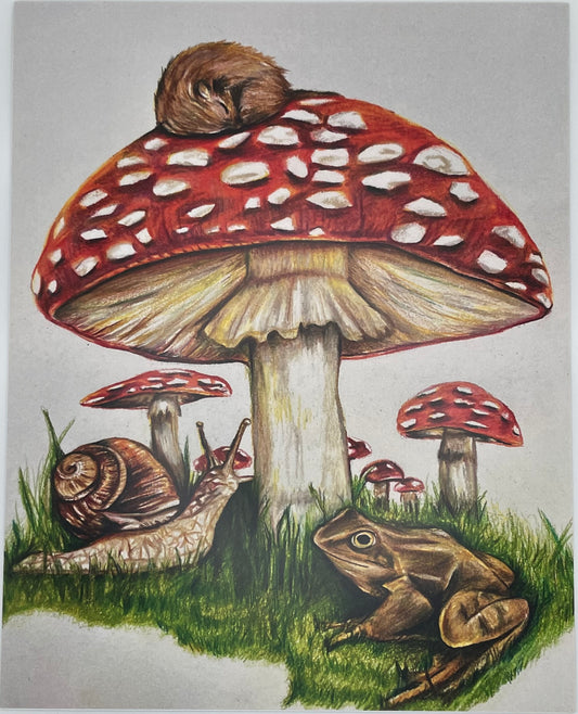 Mushroom Nap Print