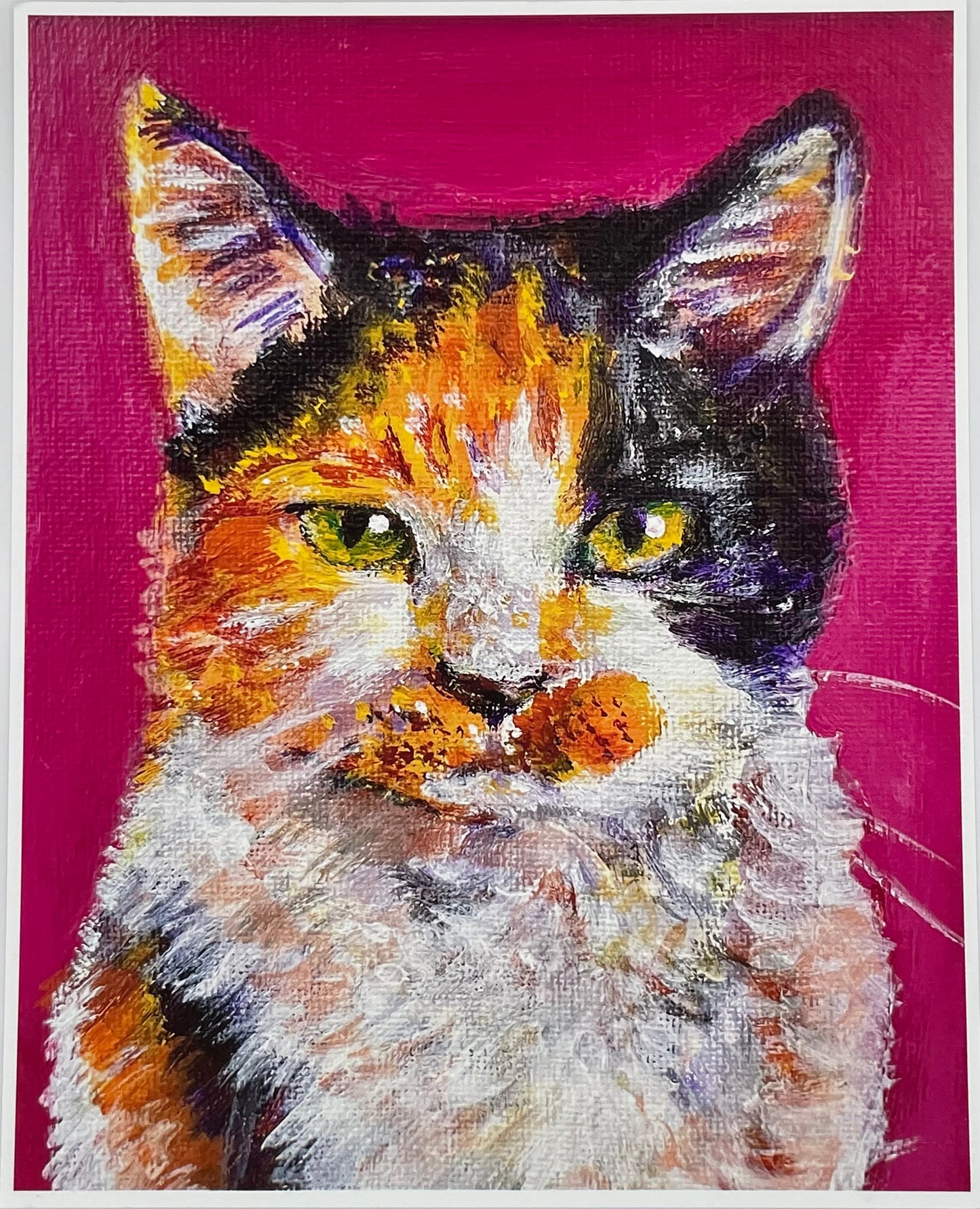 Cat on Pink Print
