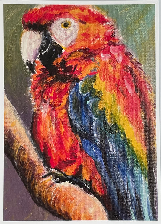 Macaw Print