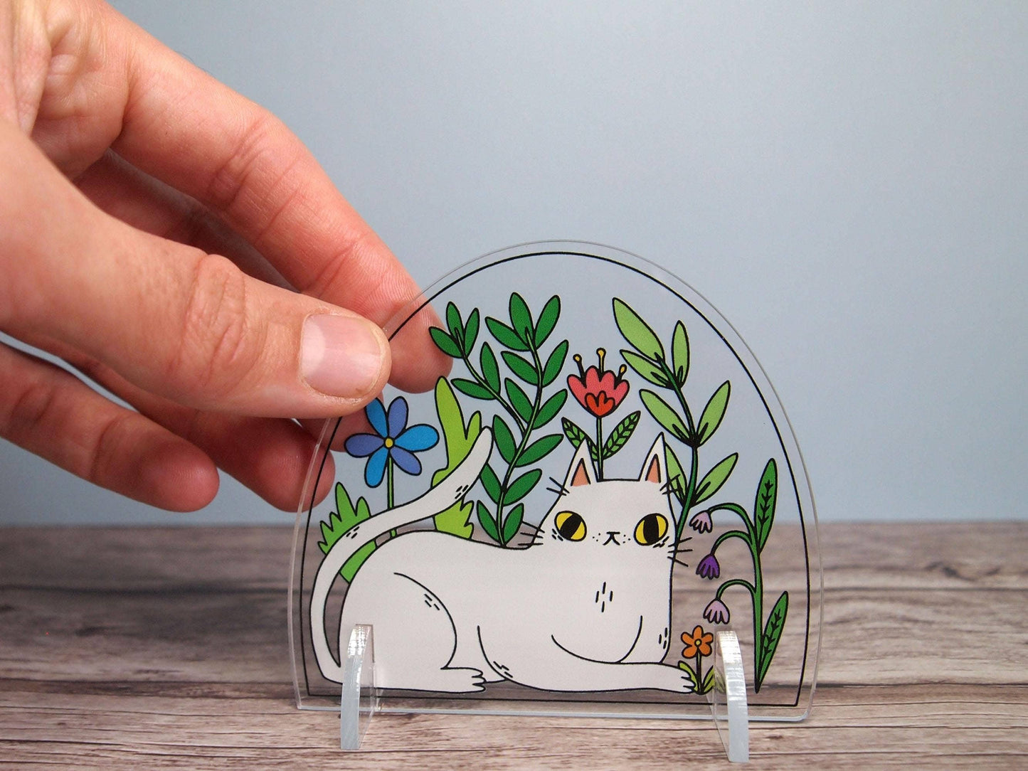Acrylic Cat Terrarium Desk Ornament Standee