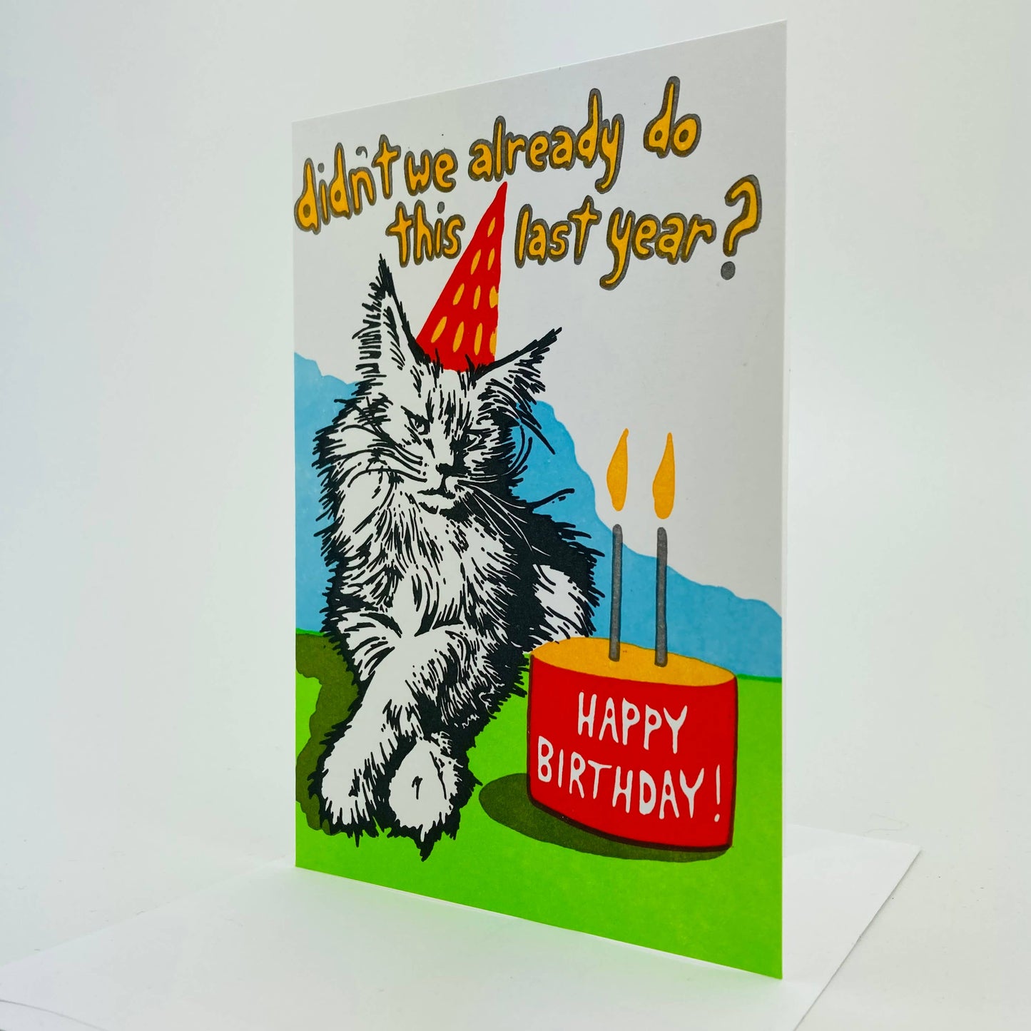 Birthday cat. Not so excited.