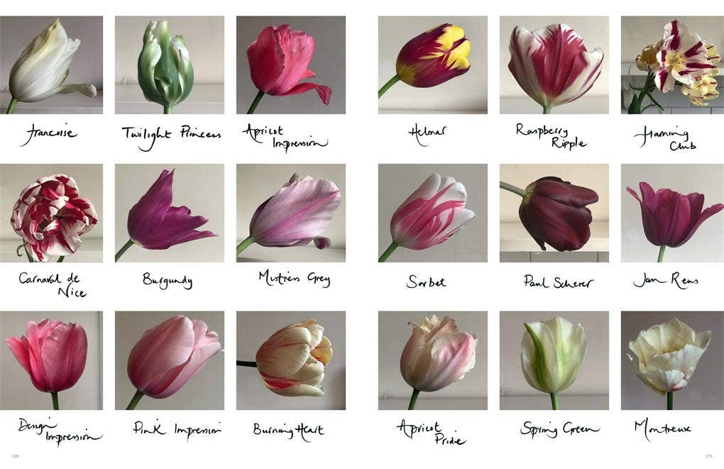 Land Gardeners: Cut Flowers