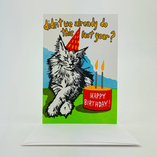 Birthday cat. Not so excited.