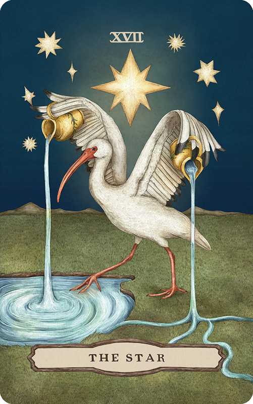 Card from a tarot deck featuring a stork pouring water from a golden cup into another cup, with stars in the background.