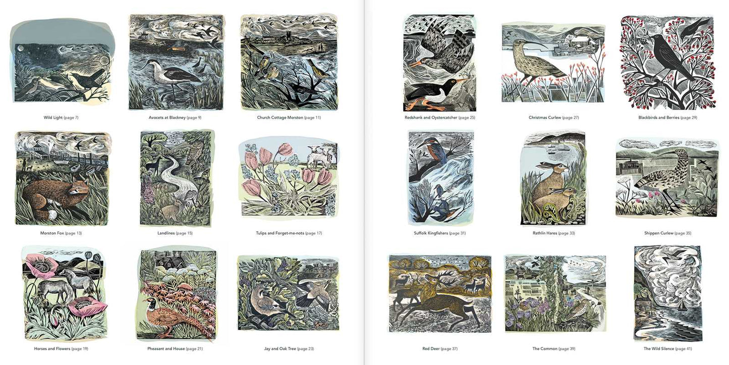 Angela Harding Coloring Book by: Paperback; 96 pages / English - The Regal Find