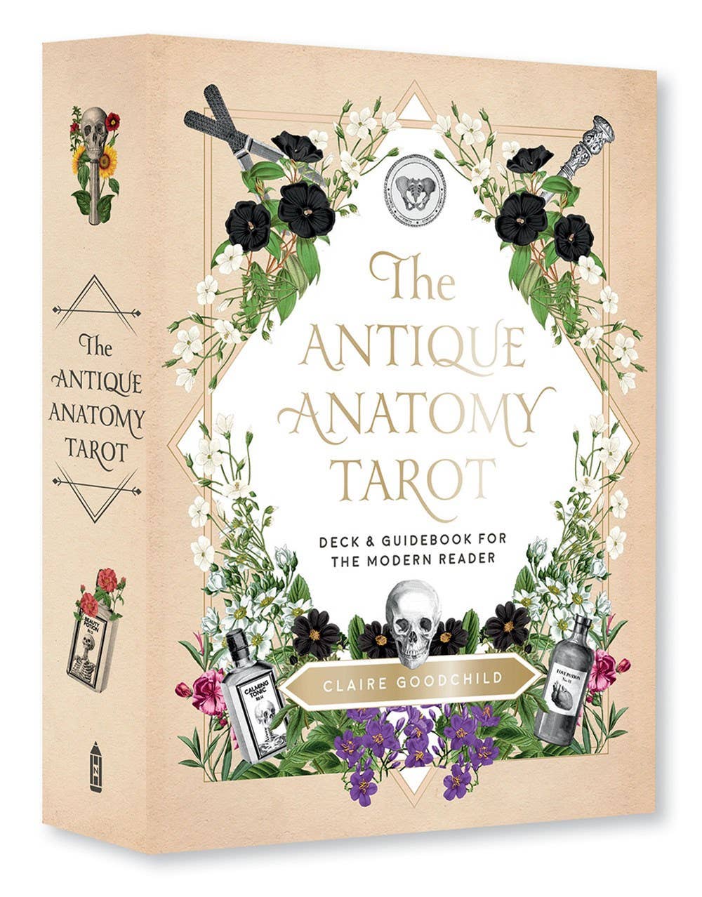 Antique Anatomy Tarot Kit - The Regal Find