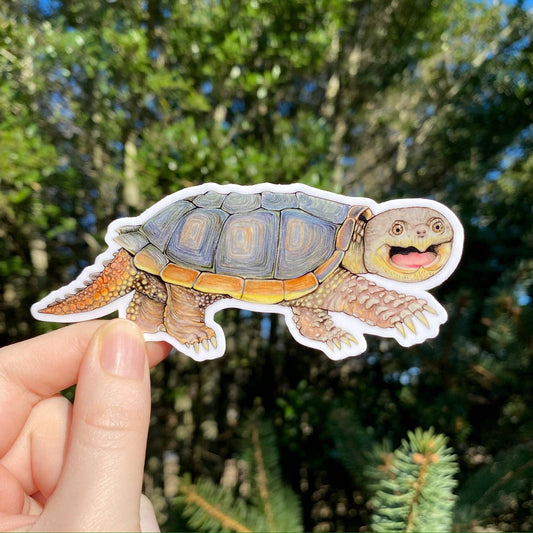 Common Snapping Turtle Sticker