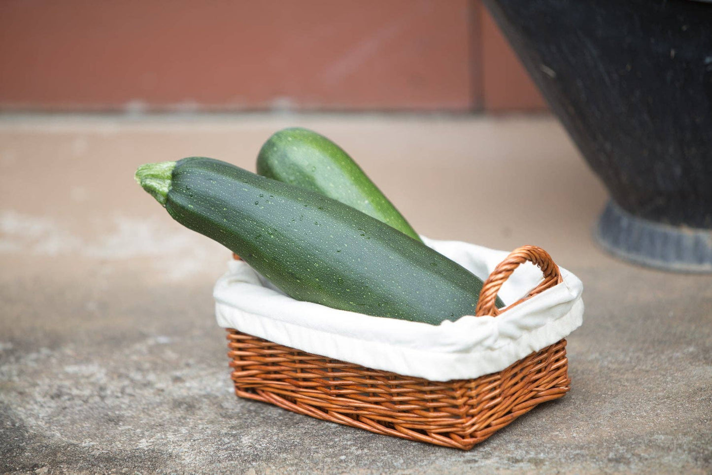 Squash, Zucchini Heirloom Garden Seed Packets: Squash, Zucchini Black Beauty Seed Packets