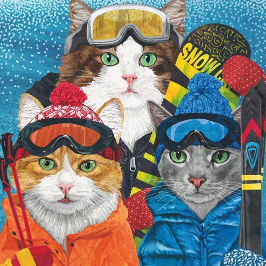 BEV- SKI CATS