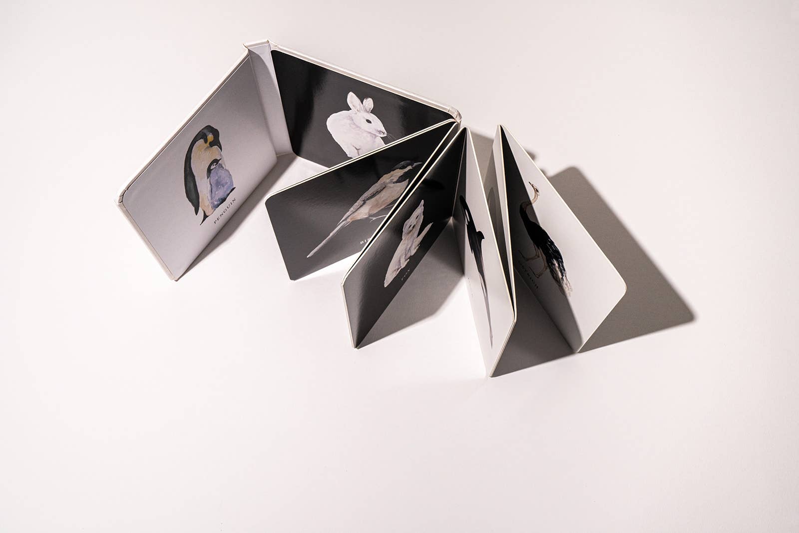 Baby's Black and White Contrast Book - The Regal Find