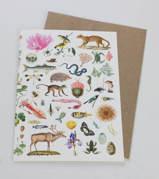 Biodiversity Card - The Regal Find