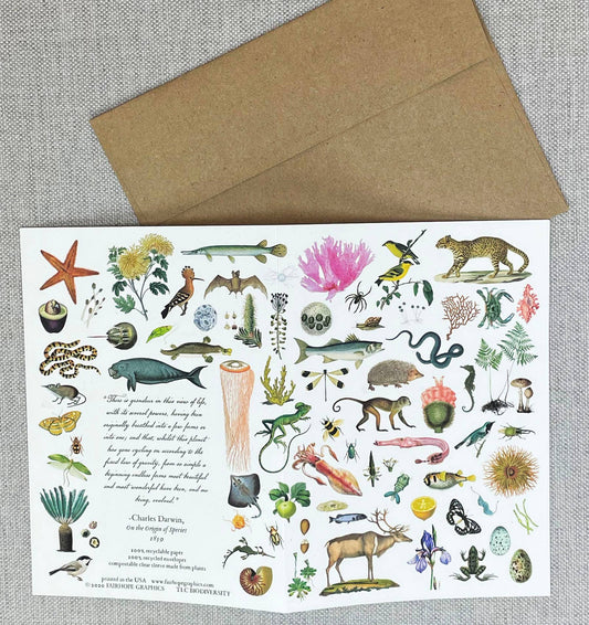 Biodiversity Card - The Regal Find