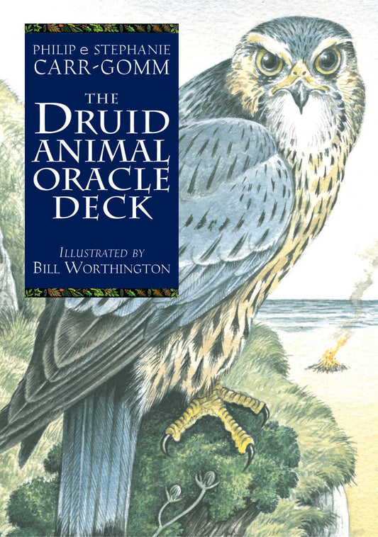 Druid Animal Oracle Deck cover with an owl illustration and blue label.