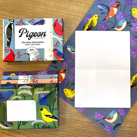 Carnival of Colour Pigeon letter pack - The Regal Find