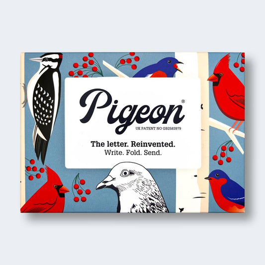 Carnival of Colour Pigeon letter pack - The Regal Find