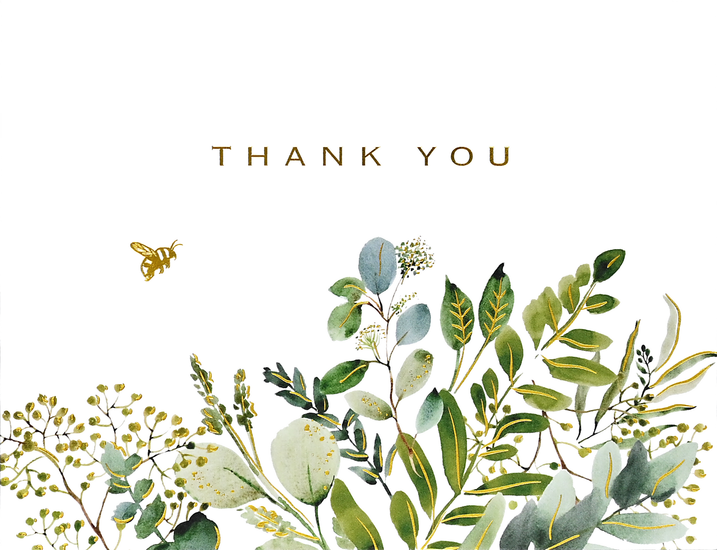 Eucalyptus Premium Thank You Note Cards