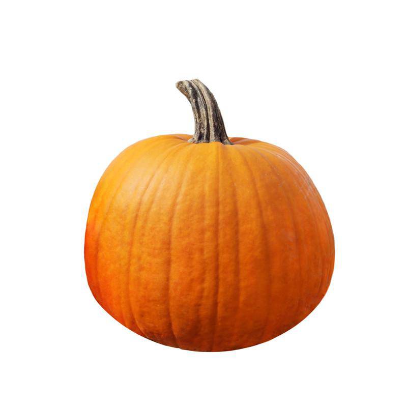 Pumpkin, Heirloom Garden Seed Packets: Pumpkin, Jack O' Lantern Seed Packets