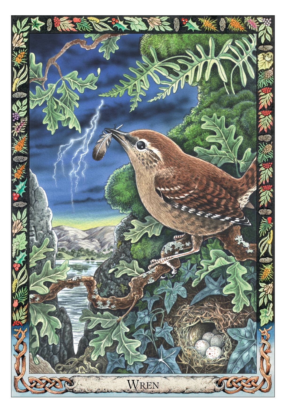 Illustration of a wren with a nest and eggs in a natural setting