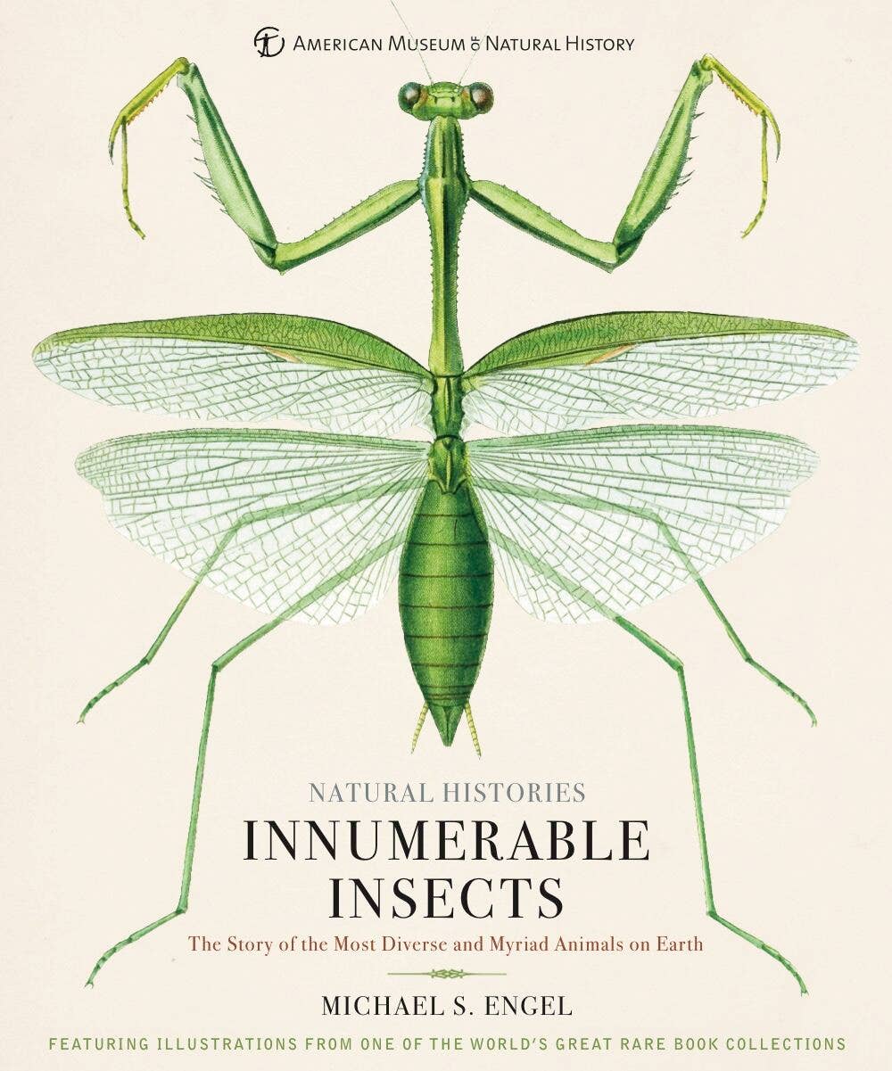 Book cover with illustration of a green insect and text about natural histories and insects.