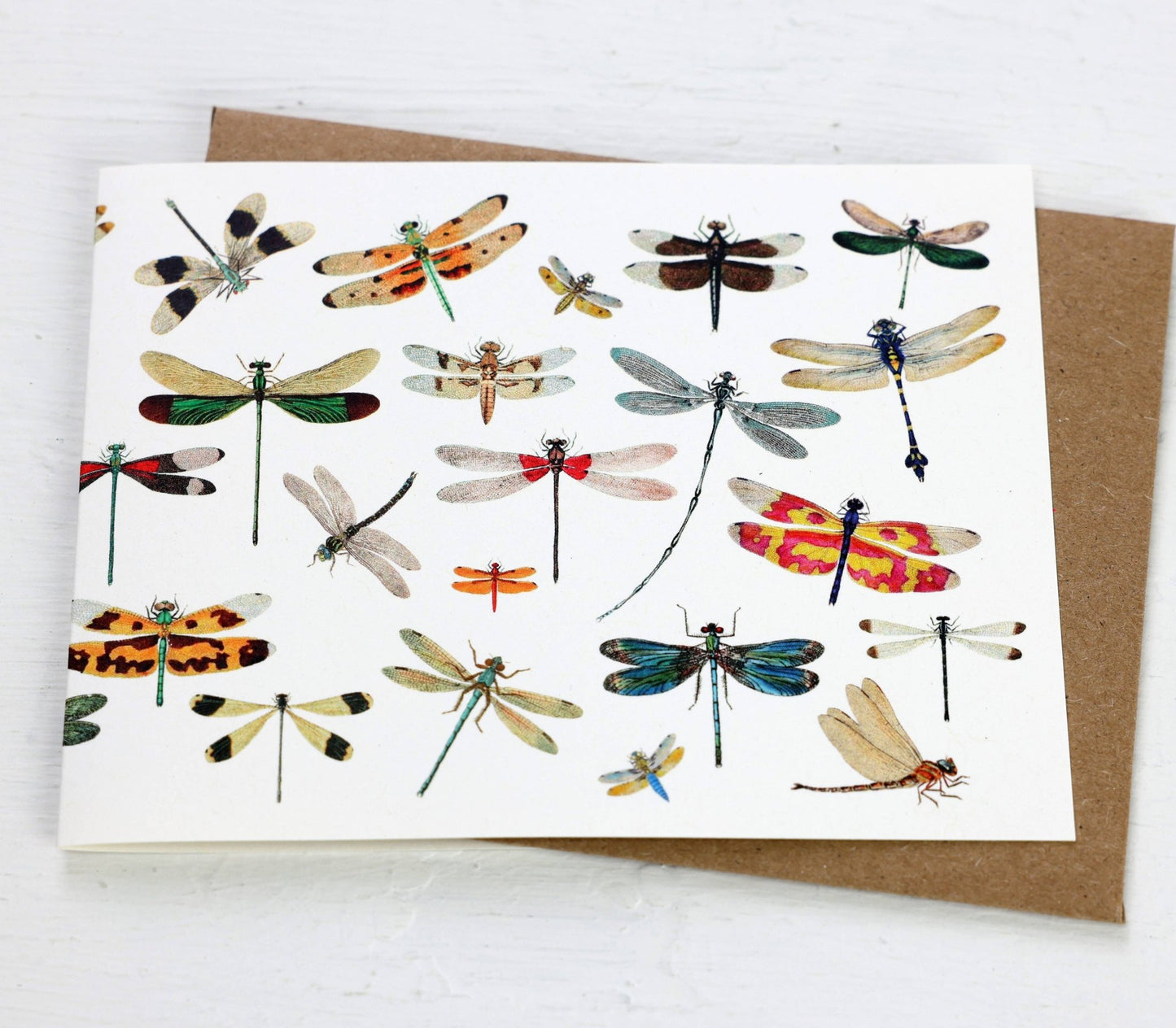 Dragonflies Card - The Regal Find