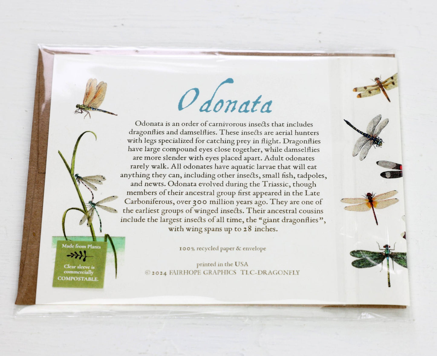 Dragonflies Card - The Regal Find