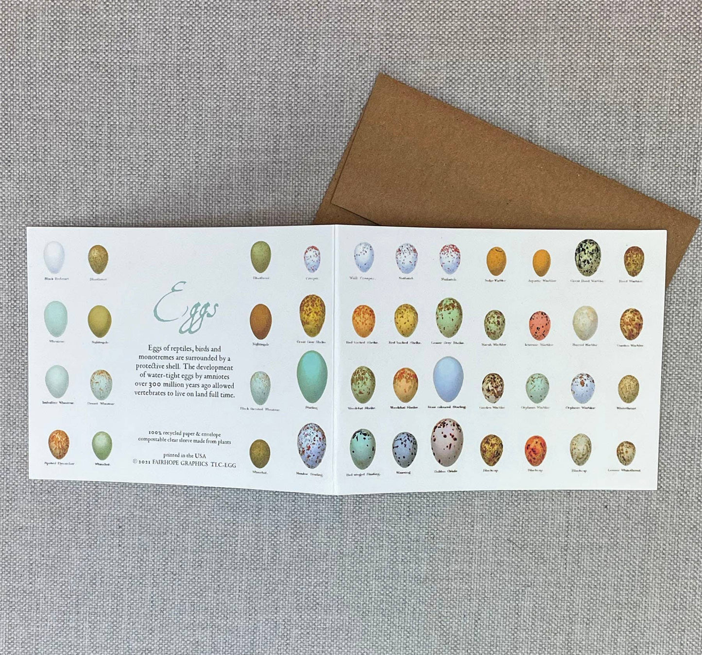 Eggs Card - The Regal Find