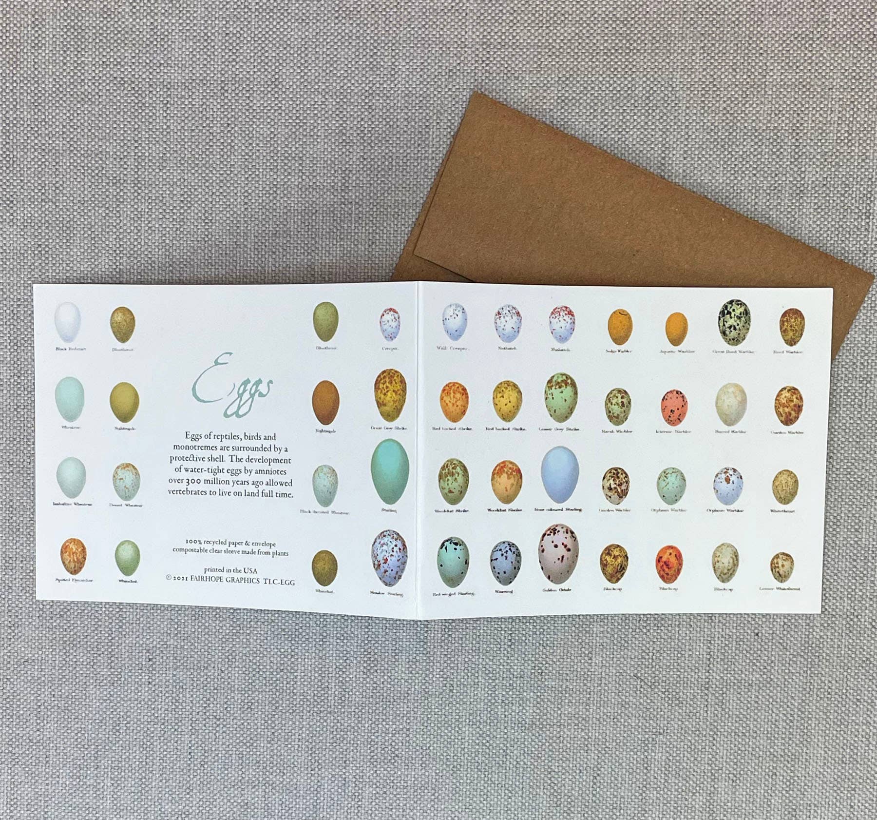 Eggs Card - The Regal Find