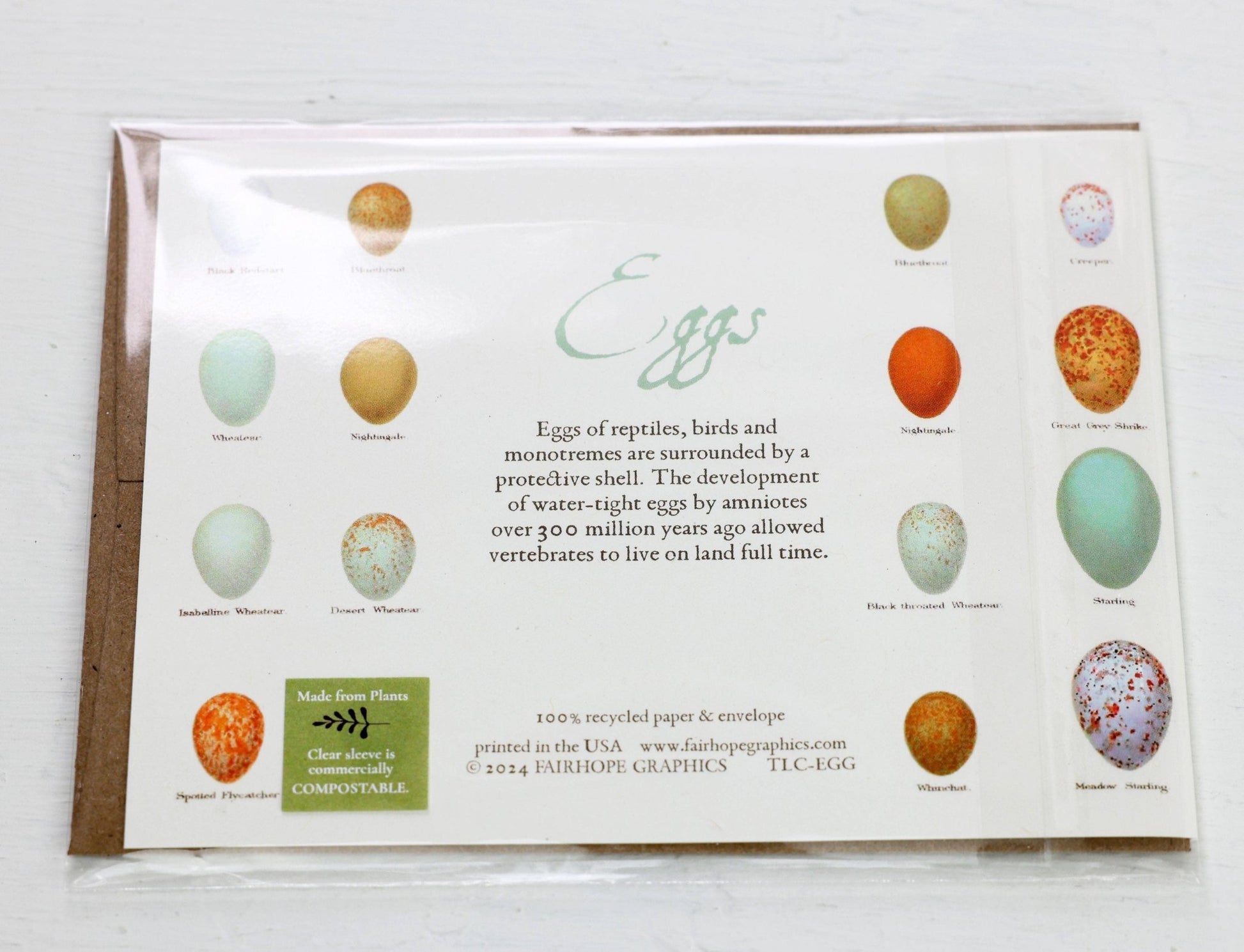 Eggs Card - The Regal Find