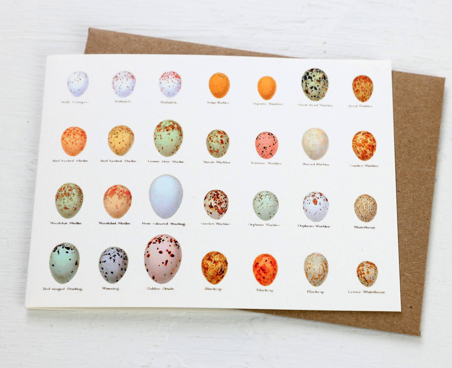 Eggs Card - The Regal Find