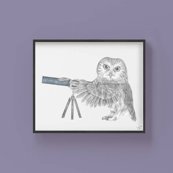 Pearl Papineau Saw Whet Owl Portrait Study 8 x 10