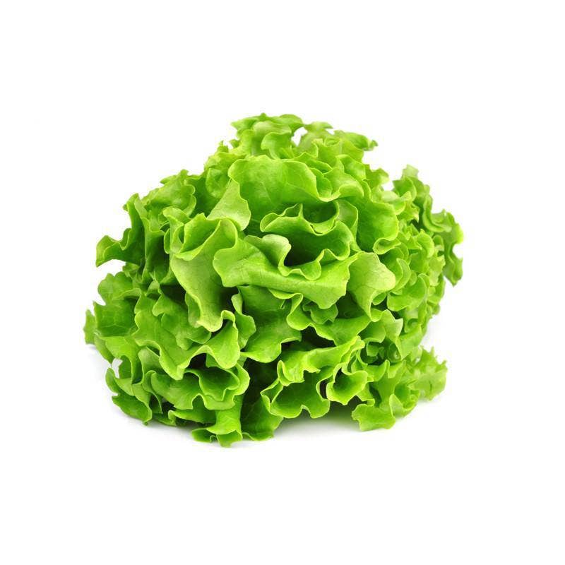 Lettuce, Heirloom Garden Seed Packets: Green