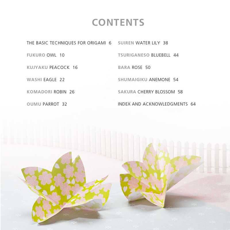 Table of contents for a book on origami with two folded paper models displayed.