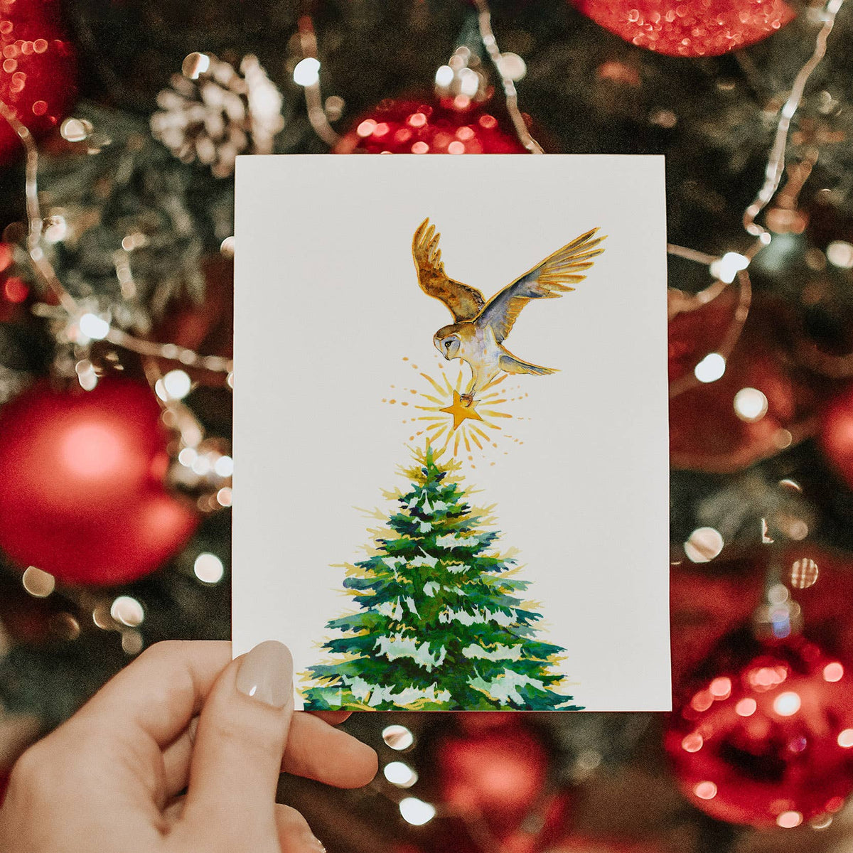 Owl Pine Tree - Christmas Card: Single