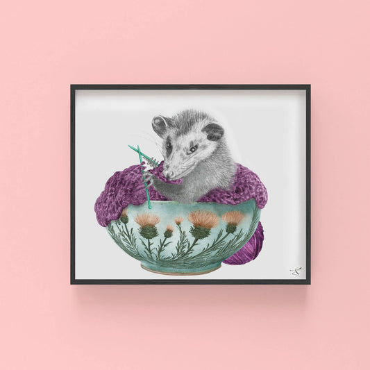 Fable Stover Opossum Portrait Study 8 x 10 - The Regal Find