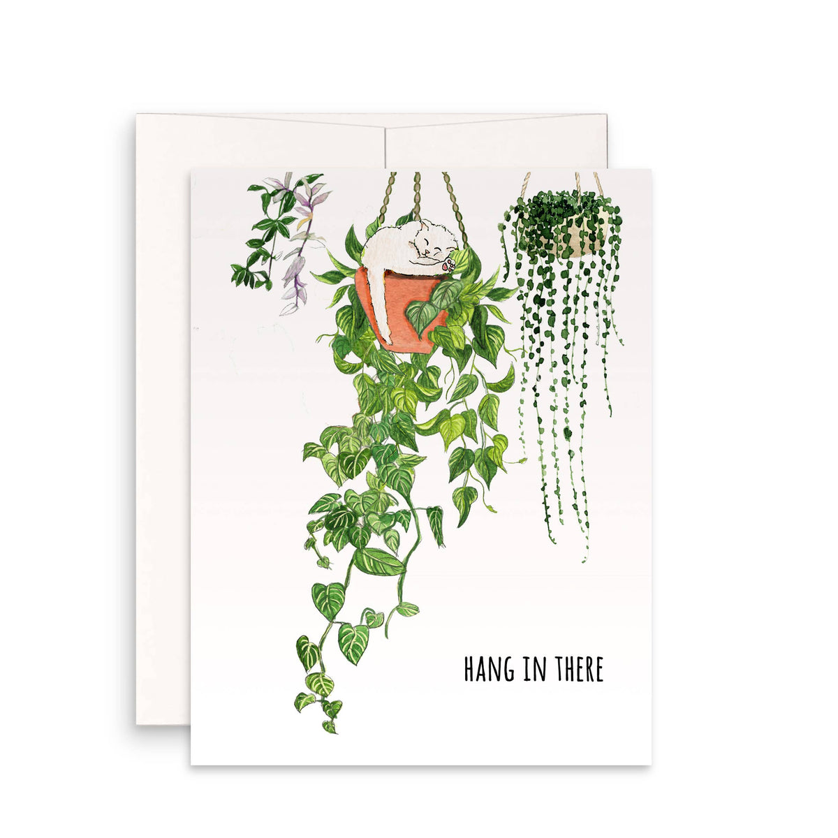 Hanging Plant Cat - Thinking Of You Card: Single