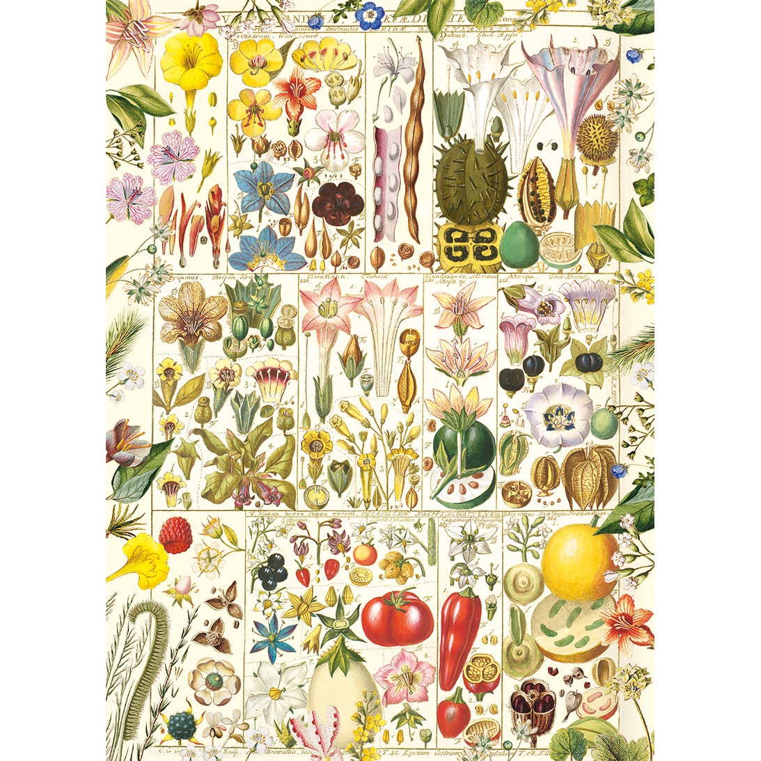 RHS Botanical Bliss 1000 Piece Puzzle