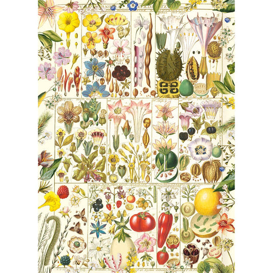 RHS Botanical Bliss 1000 Piece Puzzle