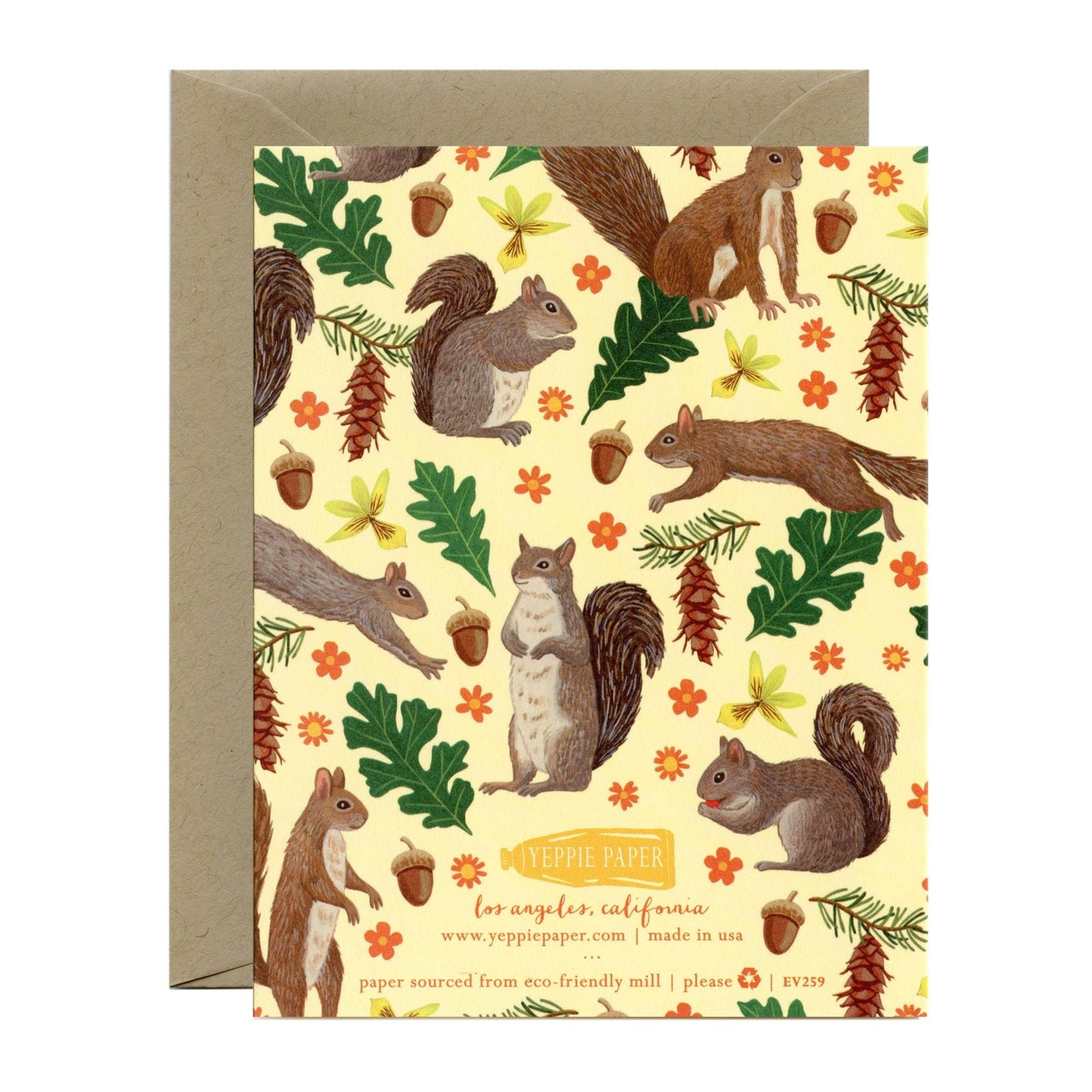 Forest Animals Everyday Stationery Cards - Variety Boxed Set - The Regal Find