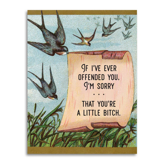 I'm Sorry If You're Offended (You're a Little Bitch) - The Regal Find